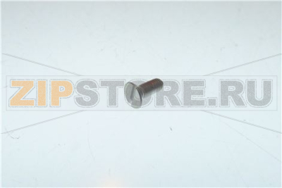 VIS TSP DIN 963 M4x10 
