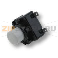 INTER.ASPI 53190728005