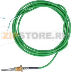 Temperature probe HansDampf (drain probe 