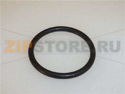 GUARNIZIONE OR FILTRO CIALDA 