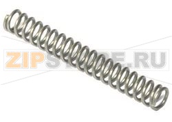 WATER PAN SEGURITY SPRING 