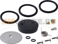 INFUSER KIT DELONGHI 7313251451