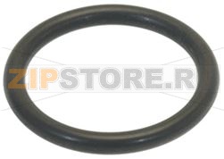 GUARNIZIONE OR TAPPO CAMERA 