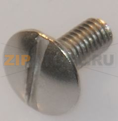 VITE A TESTA BOMBATA LARGA M4x10 