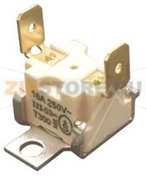 TERMOSTATO SICUREZZA 250°C ID C00121897 