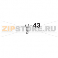 Screw M10x30 Bear Varimixer AR40 VL-1S                                                                         