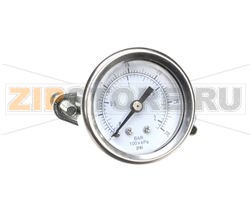 GUAGE, PRESSURE 1/8 NPTM 