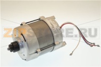 MOTORE ELETTRICO D0018.00