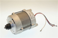 MOTORE ELETTRICO D0018.00