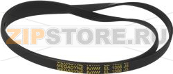 BELT MULTIGRIP 1308 J5 EL 