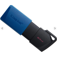 Накопитель USB 32 Гб Kingston DT200-32GB