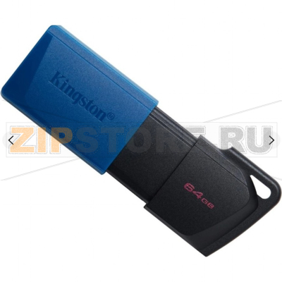 Накопитель USB 32 Гб Kingston DT200-32GB 
