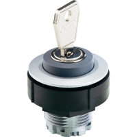 Выключатель с ключом из нержавеющей стали, 2x90°, 10 шт Schlegel KRJMSSA13E