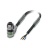 Кабель для датчика / исполнительного элемента Phoenix Contact SAC-3P- 8,0-PVC/M12FR-2L
