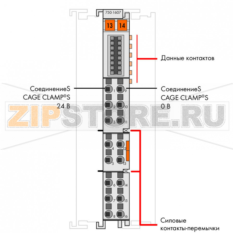 Распределение потенциалов; 8-канальный 24 В/8-канальный 0 В; - Wago 750-1607 