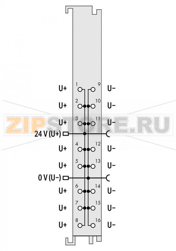 Распределение потенциалов; 8-канальный 24 В/8-канальный 0 В; - Wago 750-1607 