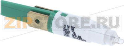 Green Light 220V Classe 5 1Gr 
