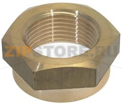 CONTRODADO OTTONE 3/4 