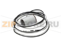 LAMP HOLD,SINGLE,65 LDS,200C