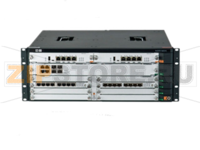 Маршрутизатор 4 Гб RAM, 1 Гб, 1 ядро Maipu NSR7300X-08 