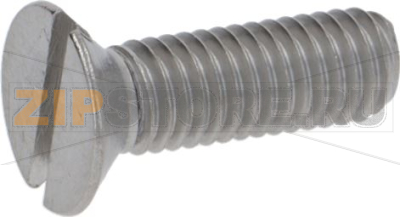 Screw M5 X 10 
