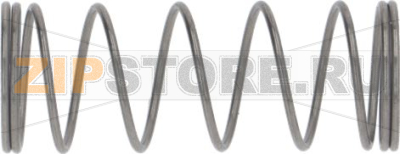 Spring Check Valve 