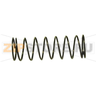 Kit, replacement spring Zebra P120i