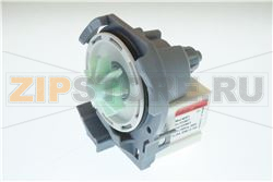 PUMP ASKOLL RC 0238 
