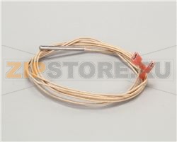 RTD PROBE - 48 LONG WIRE 