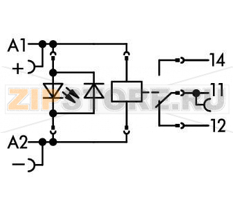 Relay module; Nominal input voltage: 24 VDC; 1 changeover contact; Limiting continuous current: 16 A; Red status indicator; Module width: 15 mm; 2,50 mm; gray Wago 788-304 