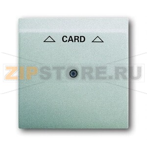 Накладка для карточного выключателя ABB 2CKA001753A0080 