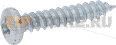 SCREW ø 2.9x16 mm 