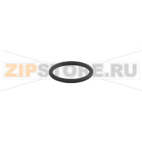 O-кольцо IFM E30437
