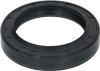 SEALING RING 40X55X10/12