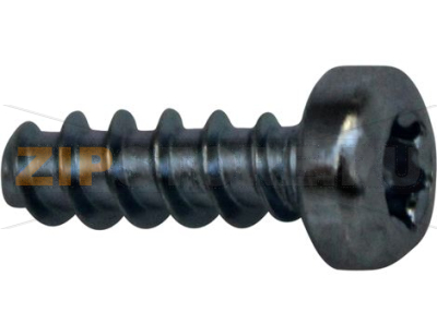 SCREW EJOT PT KB 4X12 TORX20 