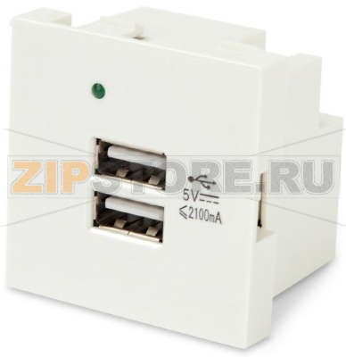 Hyperline M45-USBCH2-WH Модуль розетки USB для зарядки, 2 порта, 2М, 2.1А, 5В, 45x45мм, белый 
