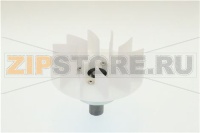 КРЫЛЬЧАТКА