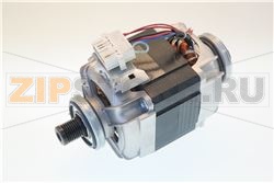 MOTORE TRIFASE BIG SIZE 