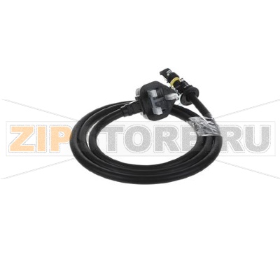 MAINS CABLE ASSY 