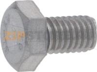 Inox Screw M 6 X 10