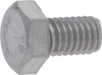 Inox Screw M 6 X 10