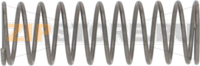 Spring Check Valve 