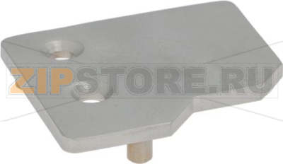 DOOR HINGE UPPER LH 