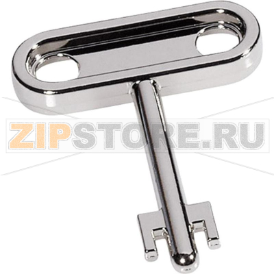 Замок вставляемый для шкафа Rittal 2308.000 