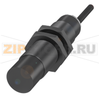 Датчик уровня наполнения емкостной, контактирующий со средой Balluff BCS00LL