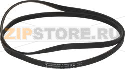 BELT 1194 J4 
