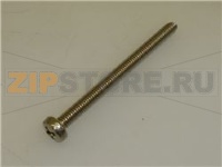 VITE A TESTA CILINDRICA M4x50