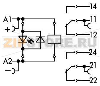 Relay module; Nominal input voltage: 24 VDC; 2 changeover contacts; Limiting continuous current: 8 A; Red status indicator; Module width: 15 mm; 2,50 mm; gray Wago 788-312 