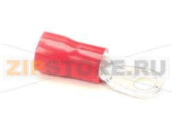 TERMINALE AD ANELLO, N. 10 