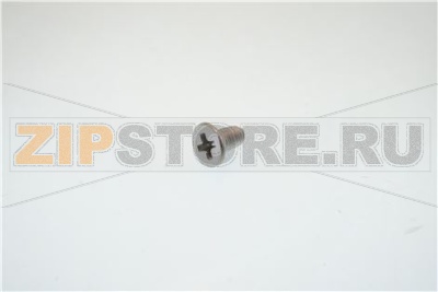 VITE M 4X8 T.S. CROCE INOX 